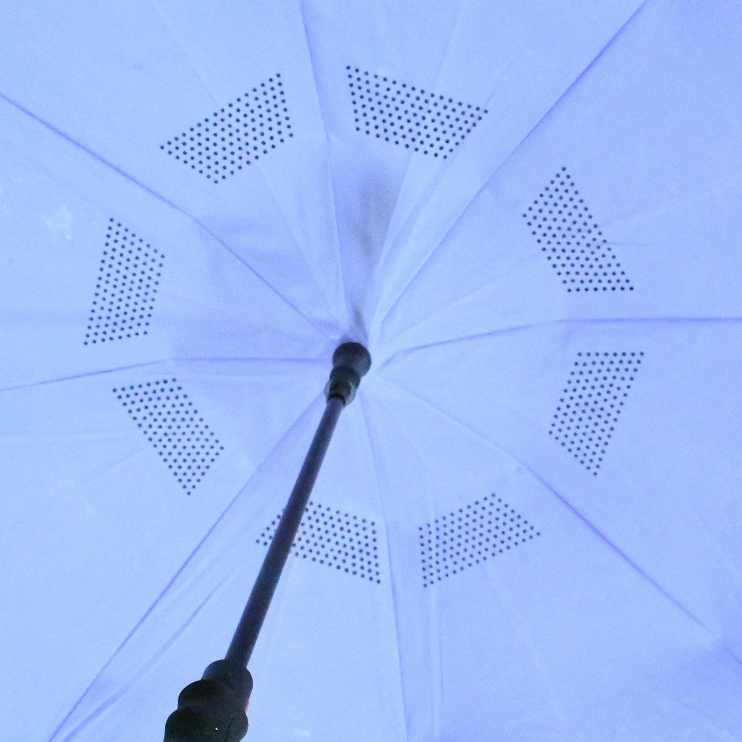 Windproof Compact Travel Umbrella ? Reverse Folding Design (1 Pc)